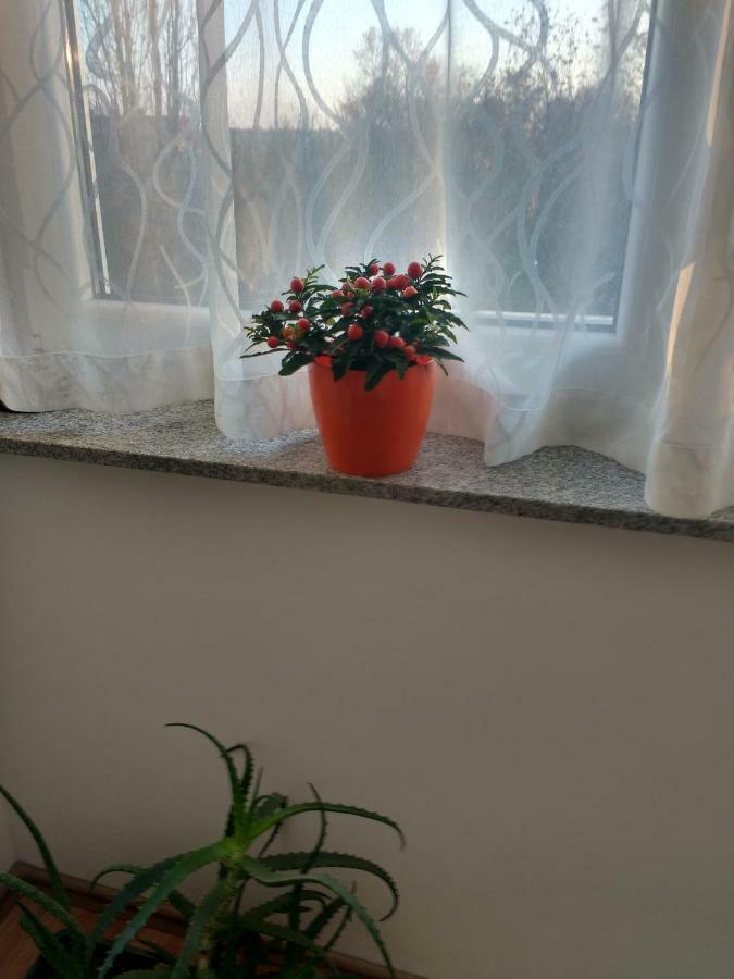 Meridian Apartment , 300M To Bus Terminal, Fast Wifi & Airport Transf Загреб Екстериор снимка